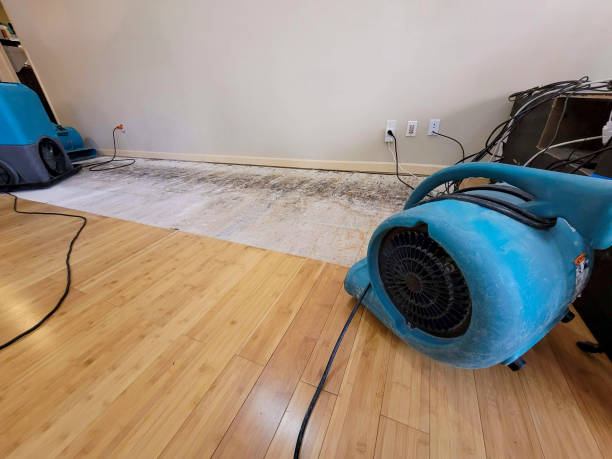 Professional Basement Flood Cleanup technician working in South Bristol, ME